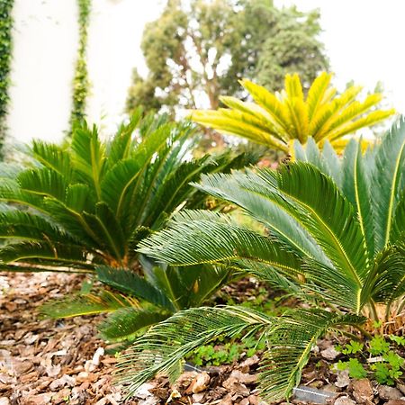סנרמו Agriturismo La Dimora Dei Re מראה חיצוני תמונה